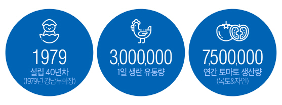 숫자로 보는 조인