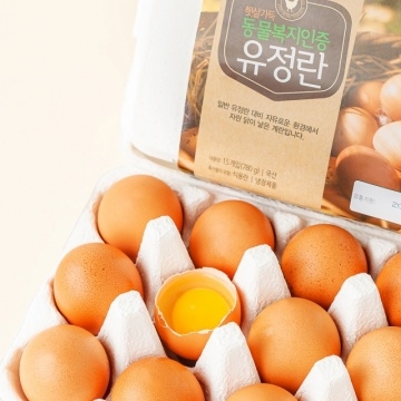 썸네일 이미지22