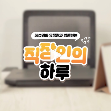 썸네일 이미지113