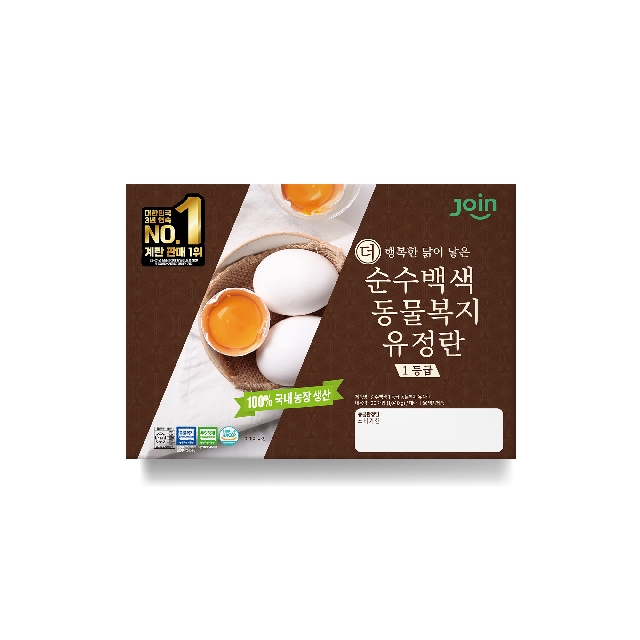이미지1